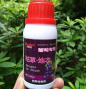 <b>大只500葡萄苗常用杀菌剂介绍</b>