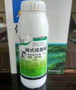 <b>葡萄苗铜制剂类杀菌剂使用技术大只500注册！</b>