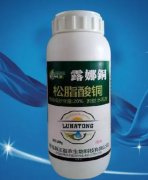 <b>葡萄苗铜制剂类杀菌剂使用技术大只500注册</b>