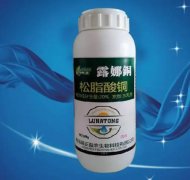 <b>大只500注册葡萄苗铜制剂类杀菌剂使用技术！</b>