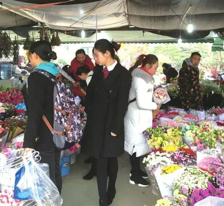 花市逢淡季淘花到杭州大只500
